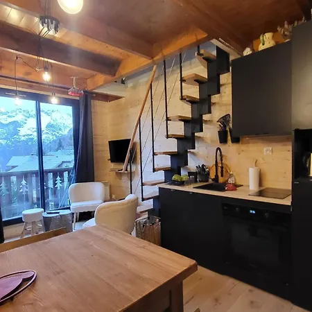 B21 Balcon De Venosc - 4 Pers Appartamento Les Deux Alpes